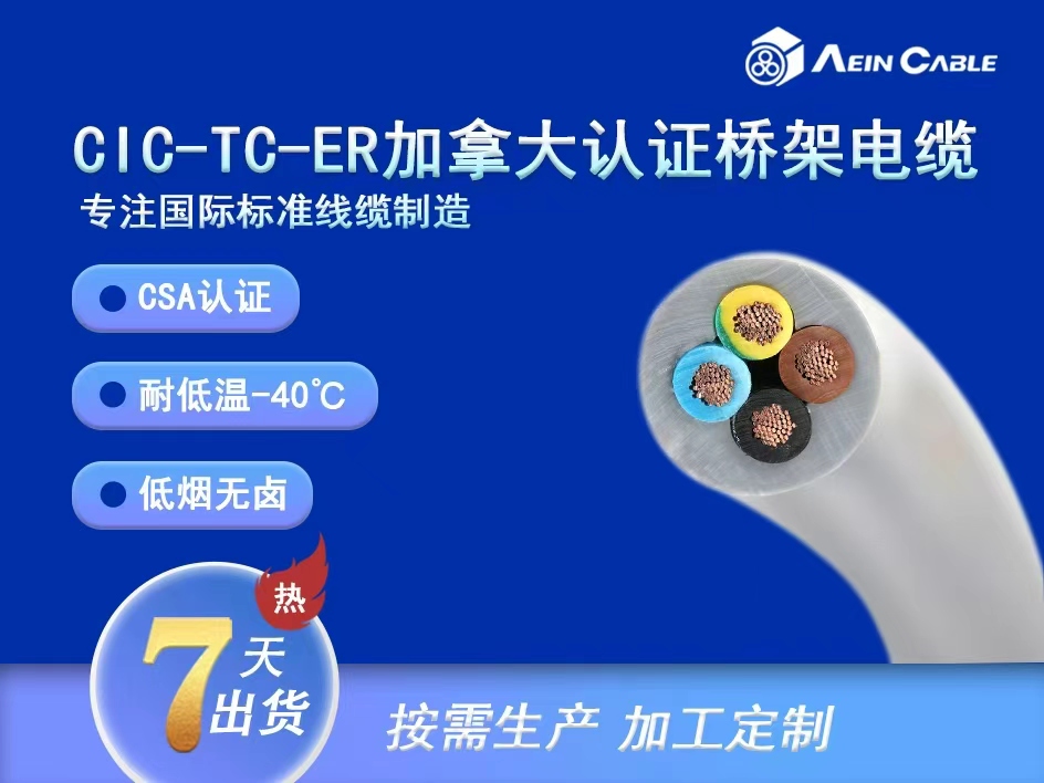加拿大CSA认证 CIC-TC