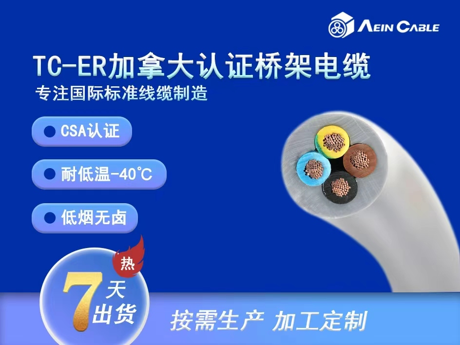 加拿大CSA认证 TC-ER 