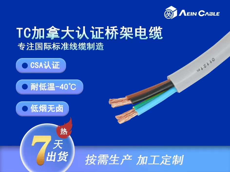 加拿大CSA认证 TC 托盘桥